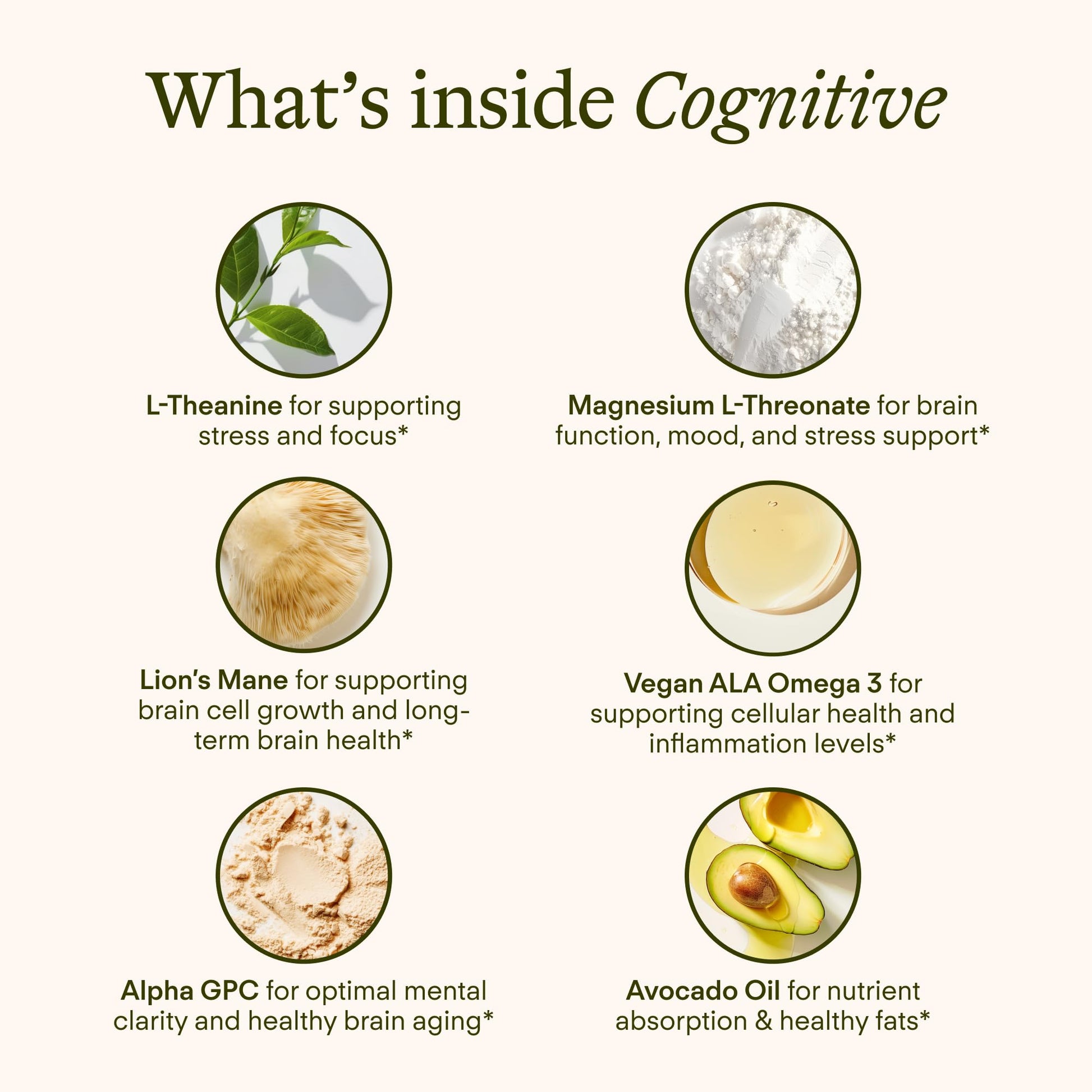Sunny Within - Brain Health Supplement - Magnesium L-Threonate from Magtein®, Lion’s Mane, Alpha GPC, L-Theanine, ALA & Avocado Oil - Focus, Mood & Memory Support* - 30 Daily Vegan Pouches - dailyvitalstore