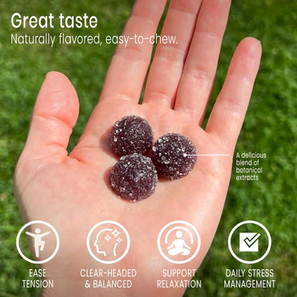Sunsoil A World of Calm Organic Gummies, USDA Certified Organic, No Glucose, Vegan, Gluten-Free, Plant-Based - dailyvitalstore