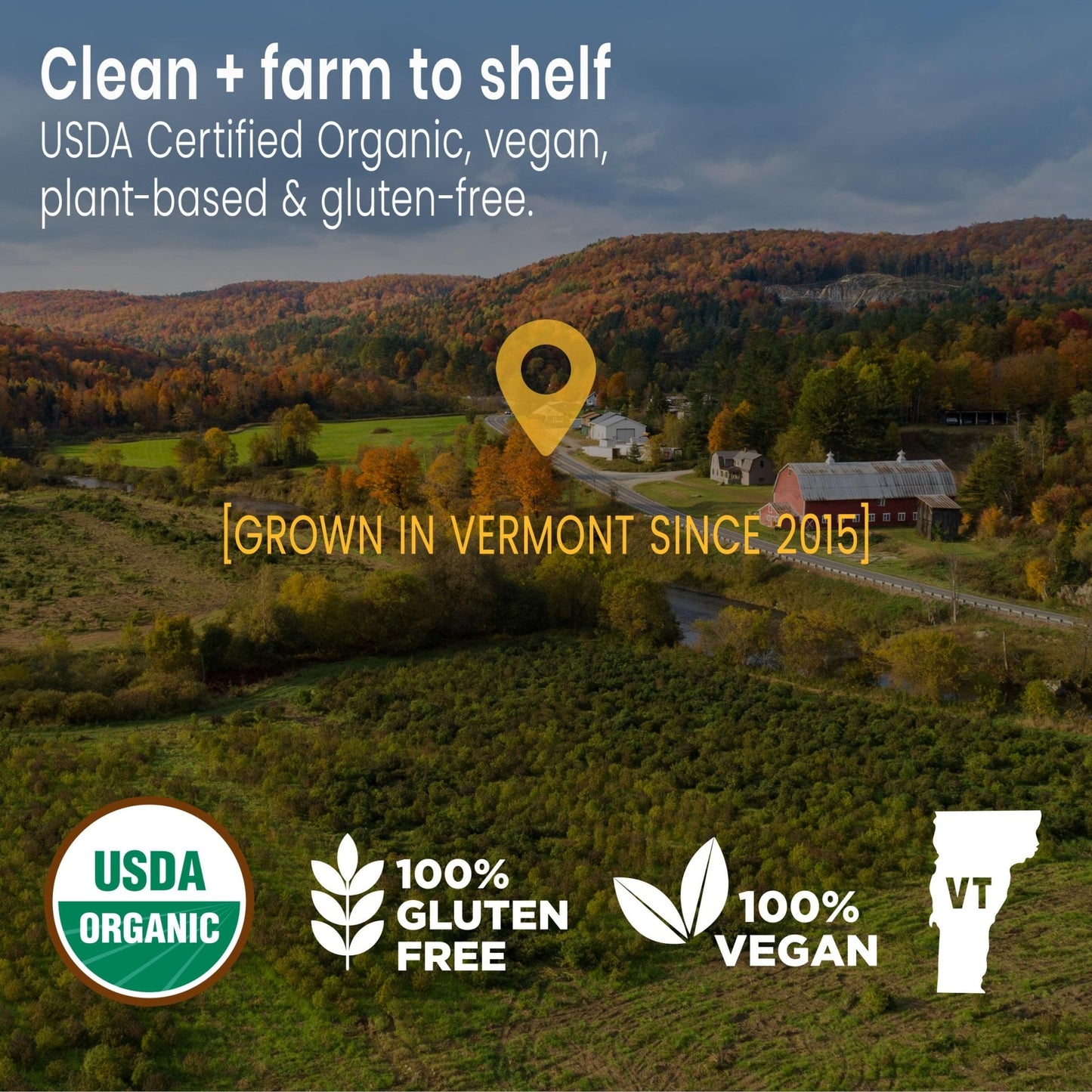 Sunsoil A World of Calm Organic Gummies, USDA Certified Organic, No Glucose, Vegan, Gluten-Free, Plant-Based - dailyvitalstore