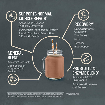 Sunwarrior Organic Plant Based Protein Powder | Vegan Organic Protein Powder with BCAA Amino Acids Plus Recovery Minerals & Botanicals | Non-GMO Soy Dairy & Gluten Free - dailyvitalstore