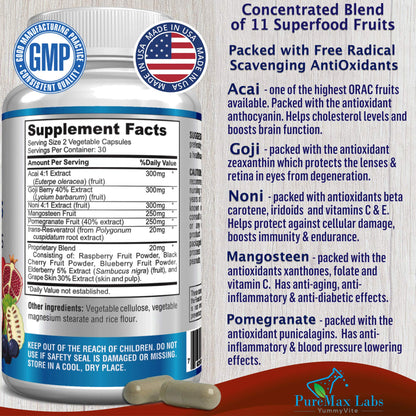 Super Antioxidant Fruit Superfood Complex - Powerful Antioxidant Superfruits, Acai, Goji, Noni, Mangosteen, Pomegranate, Elderberry, Resveratrol, - dailyvitalstore