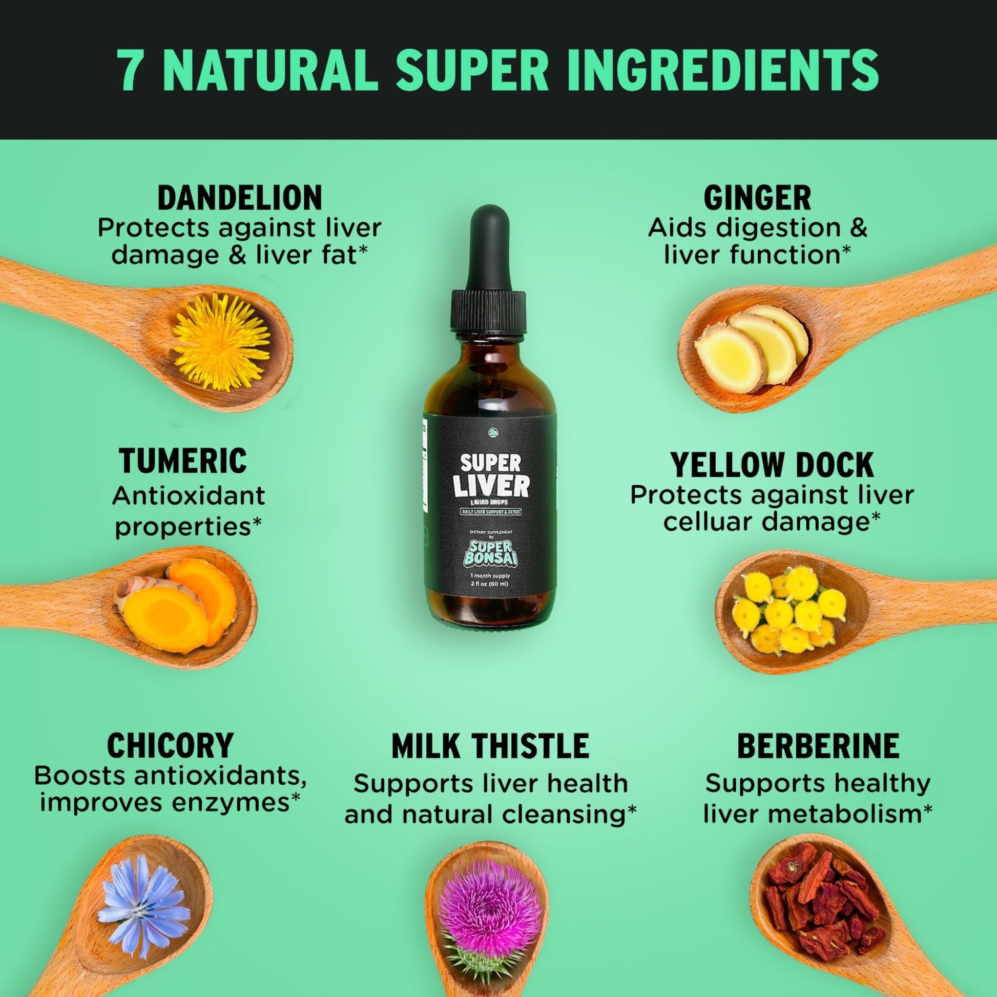 SuperBonsai Milk Thistle Herbal Liquid Supplement - Doctor-Formulated Botanical Blend with Milk Thistle and Dandelion Root - Vegan Non-GMO Drops - 3 Month Supply - dailyvitalstore