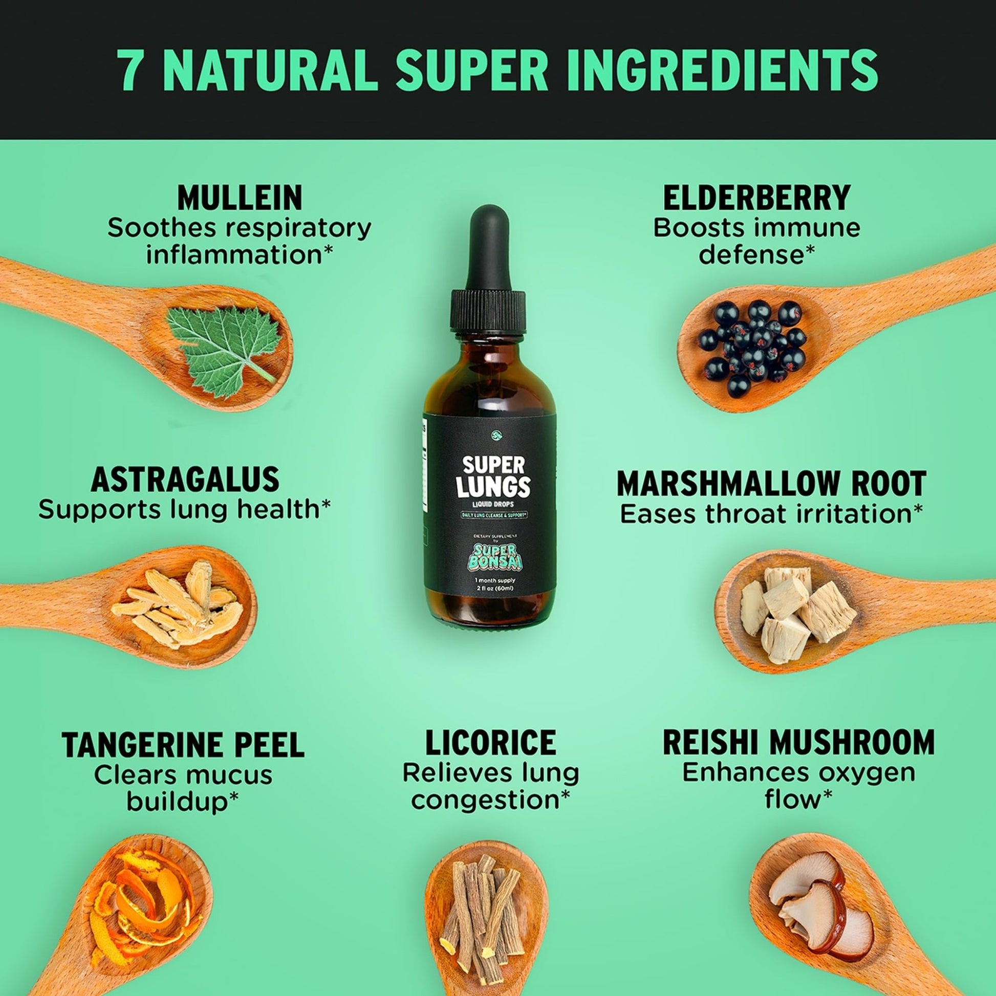 SuperBonsai Super Lungs Mullein Drops – Herbal Lung Support Tincture with Mullein Leaf Extract Elderberry Reishi Marshmallow Root - dailyvitalstore