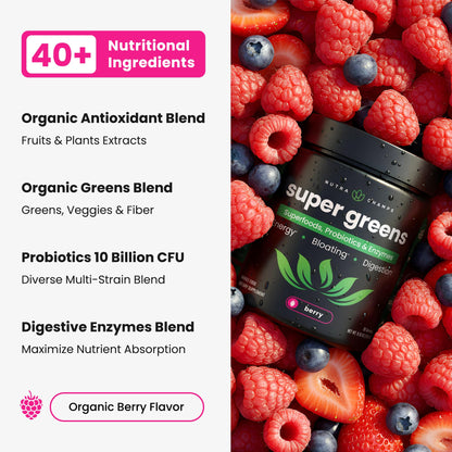 SuperGreens Powder, 40+ Organic Superfoods, Probiotics & Enzymes for Energy, Digestion, Gut Health & Bloating | Organic Fruit & Veggie Drink Mix, Daily Green Juice - dailyvitalstore