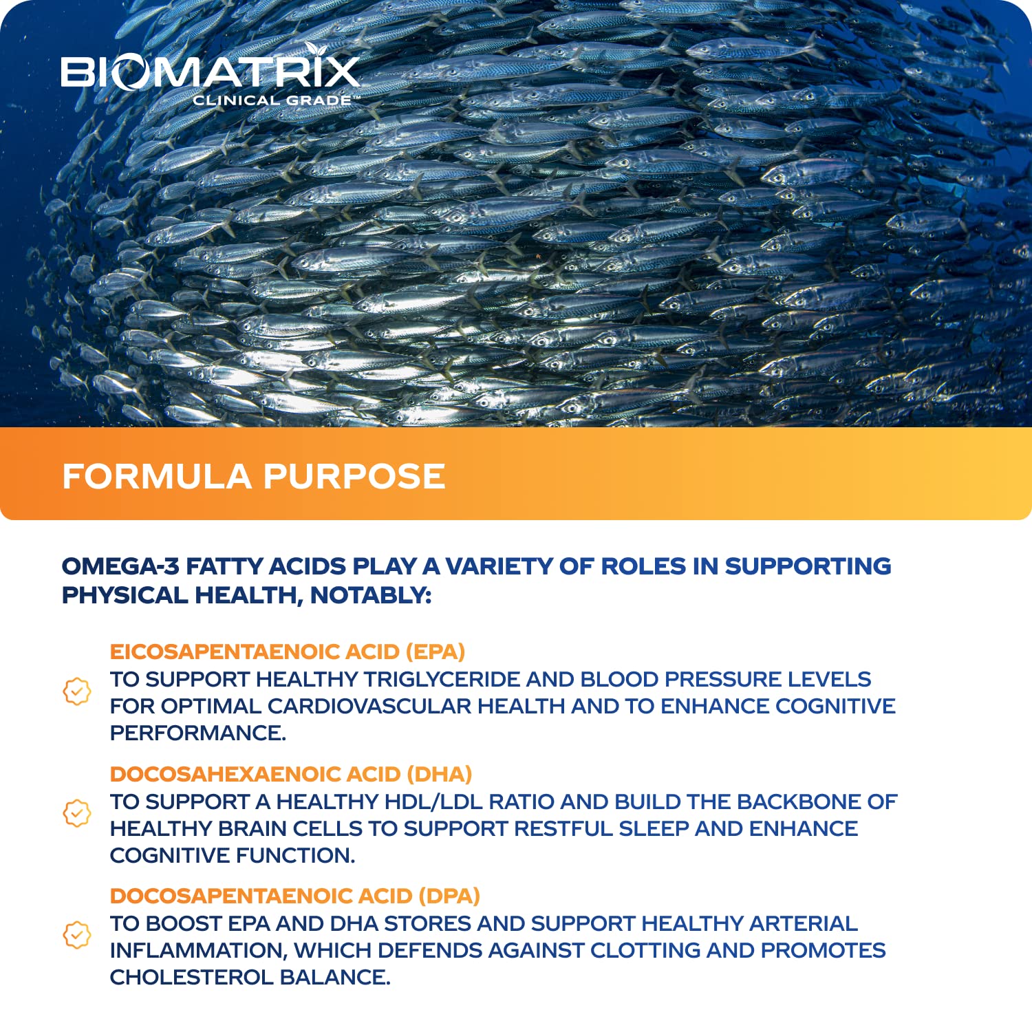 Support Omega EPA DHA Omega 3 Fish Oil Supplement - Cardiovascular, Musculoskeletal Support (120 Gel Capsules) - dailyvitalstore