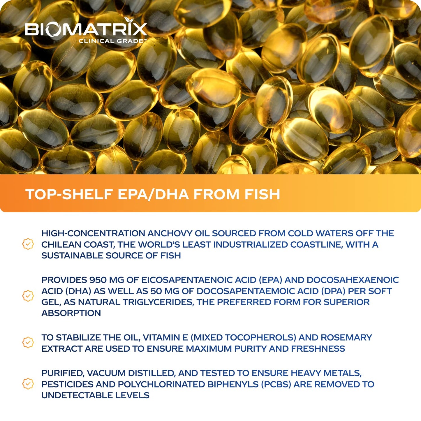 Support Omega EPA DHA Omega 3 Fish Oil Supplement - Cardiovascular, Musculoskeletal Support (120 Gel Capsules) - dailyvitalstore