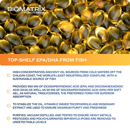 Support Omega EPA DHA Omega 3 Fish Oil Supplement - Cardiovascular, Musculoskeletal Support (120 Gel Capsules) - dailyvitalstore