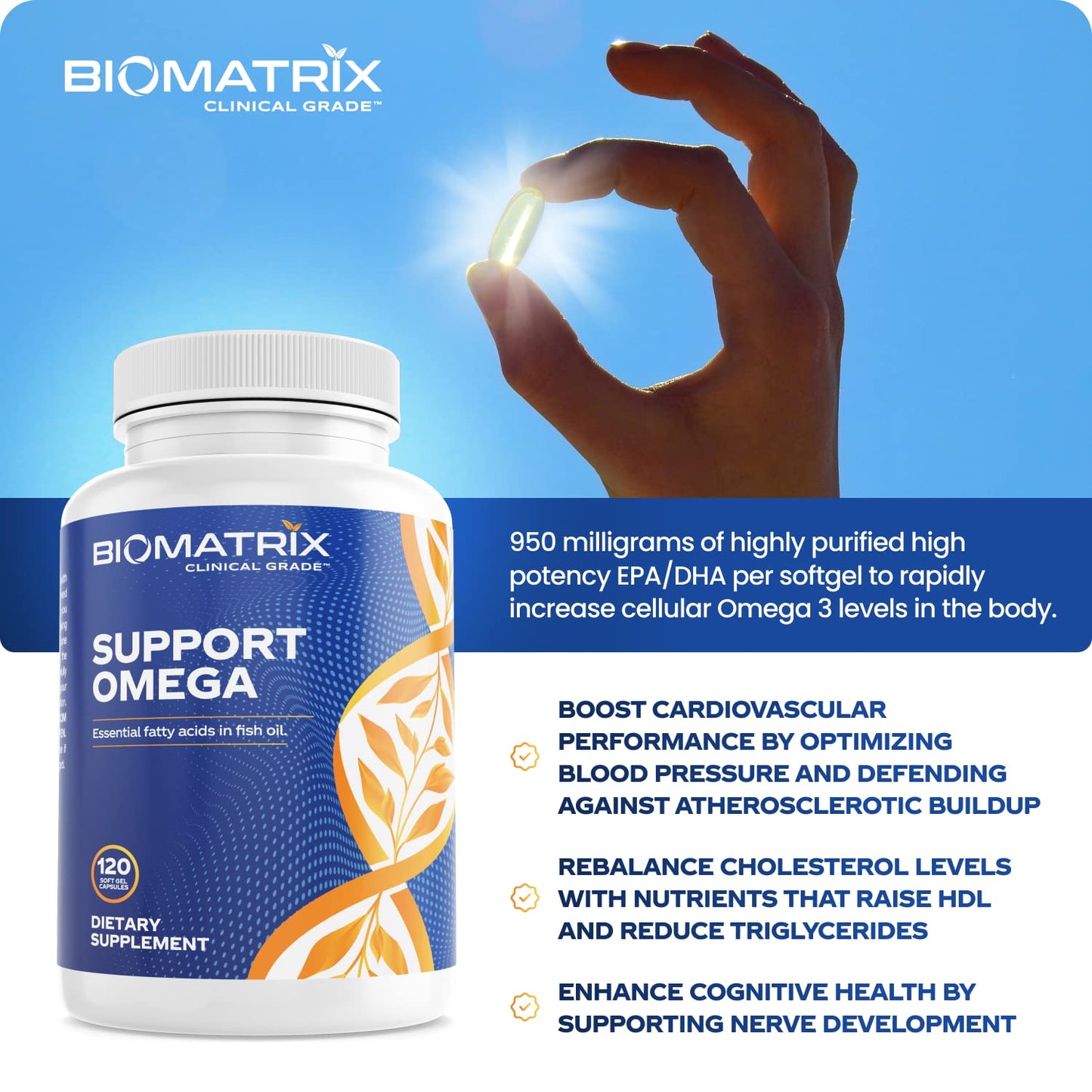 Support Omega EPA DHA Omega 3 Fish Oil Supplement - Cardiovascular, Musculoskeletal Support (120 Gel Capsules) - dailyvitalstore