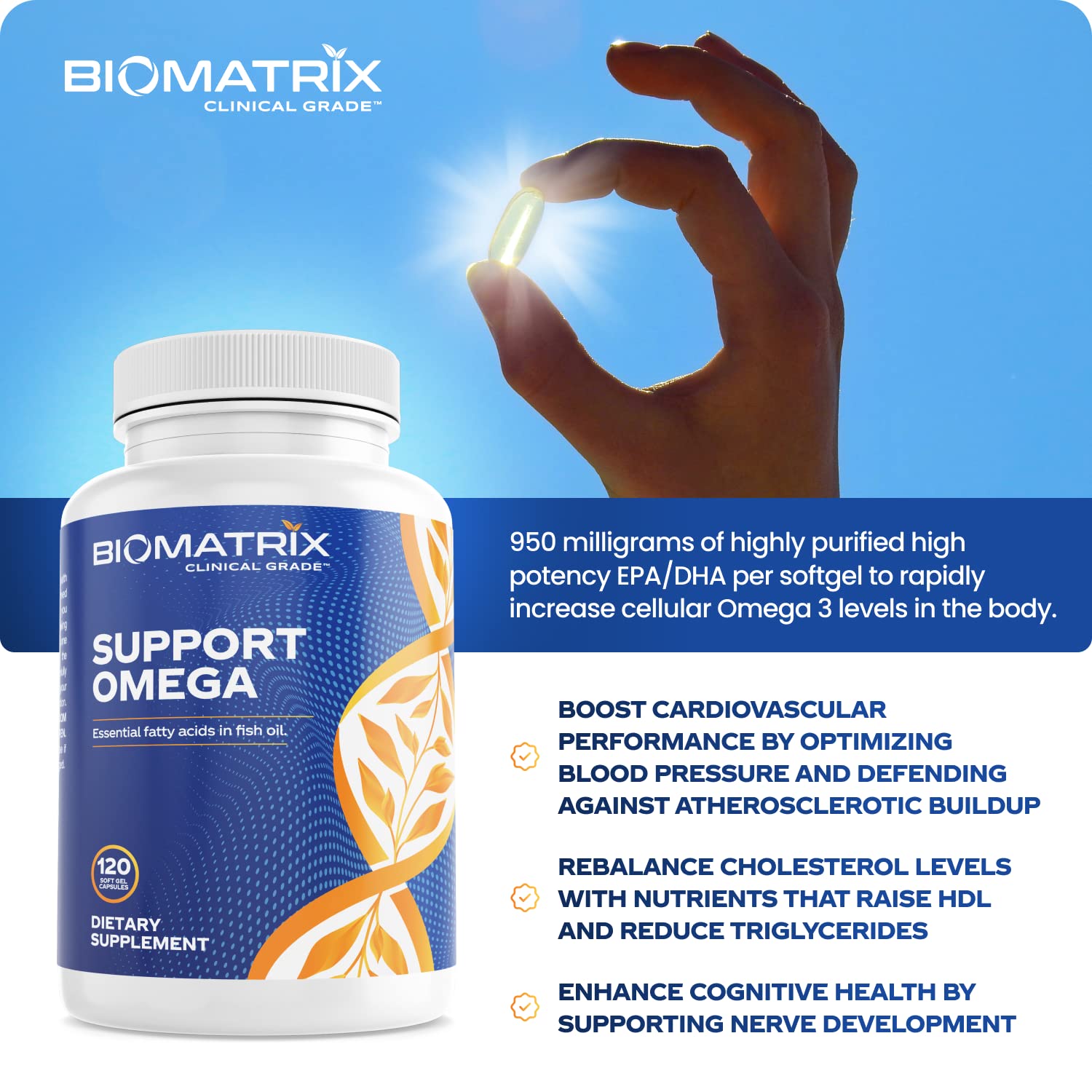 Support Omega EPA DHA Omega 3 Fish Oil Supplement - Cardiovascular, Musculoskeletal Support (120 Gel Capsules) - dailyvitalstore