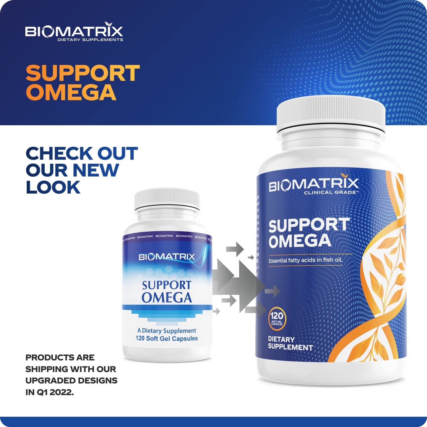 Support Omega EPA DHA Omega 3 Fish Oil Supplement - Cardiovascular, Musculoskeletal Support (120 Gel Capsules) - dailyvitalstore