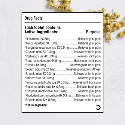 T-Relief Arthritis Arnica +12 Pain Relieving Natural Medicines Help Reduce Soreness Stiffness Aches & Pains in Joints Naturally - 100 Tablets (2 Pack) - dailyvitalstore