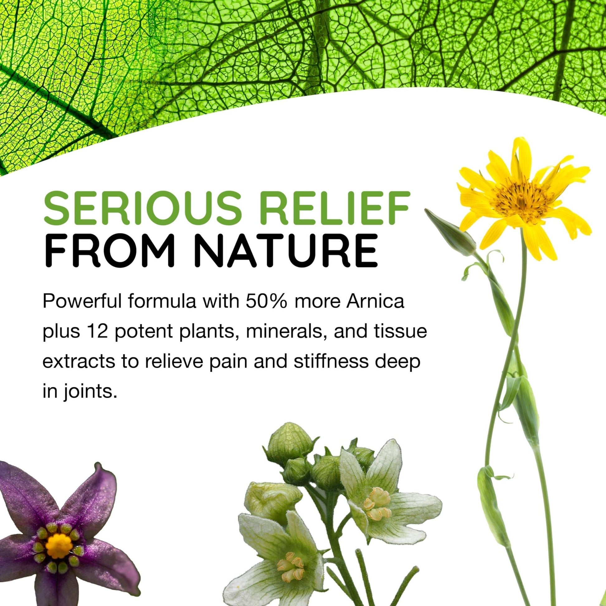 T-Relief Extra Strength Arthritis Cream Arnica +12 Pain Relieving Natural Medicines Help Soothe Soreness Stiffness Aches & Pains in Joints Naturally - 3 oz - dailyvitalstore