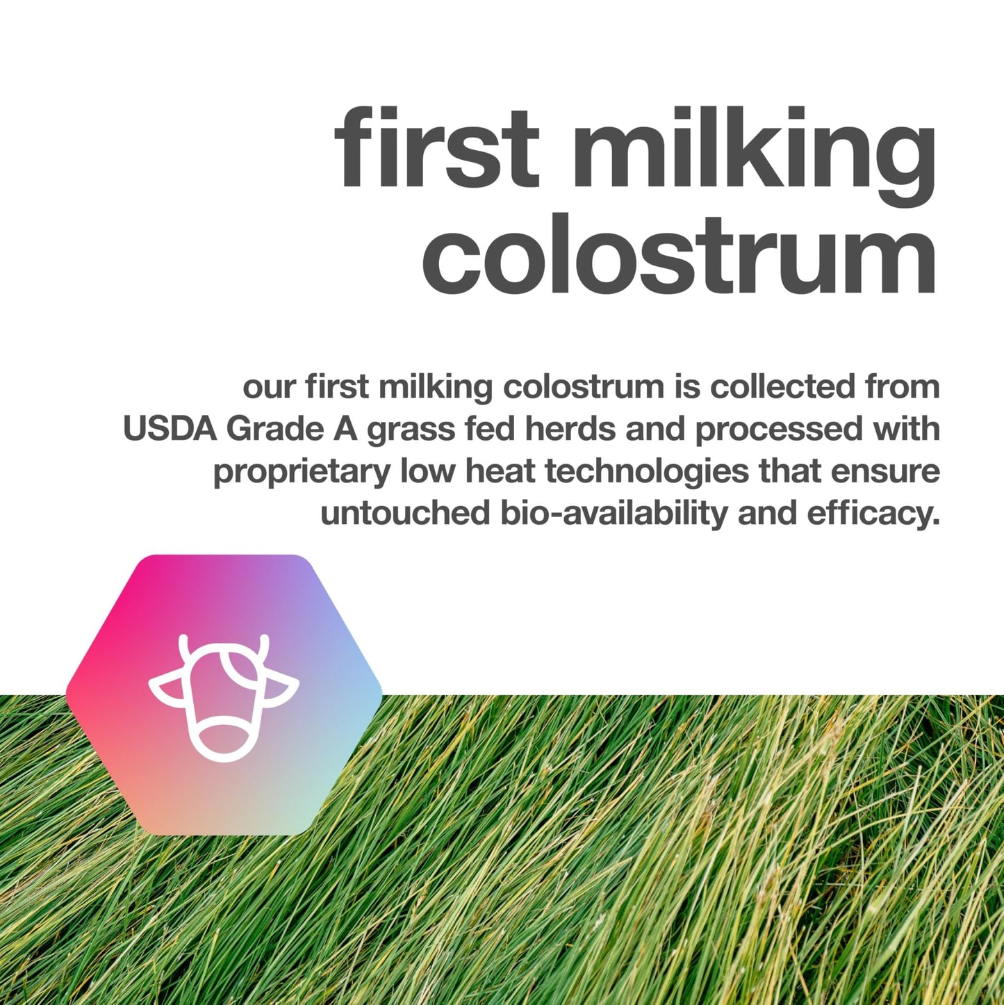 TBR Labs Pure Bovine Colostrum 180 Capsules - Antibiotic and Hormone Free - USA Sourced - All Natural - 100% First Milking - dailyvitalstore