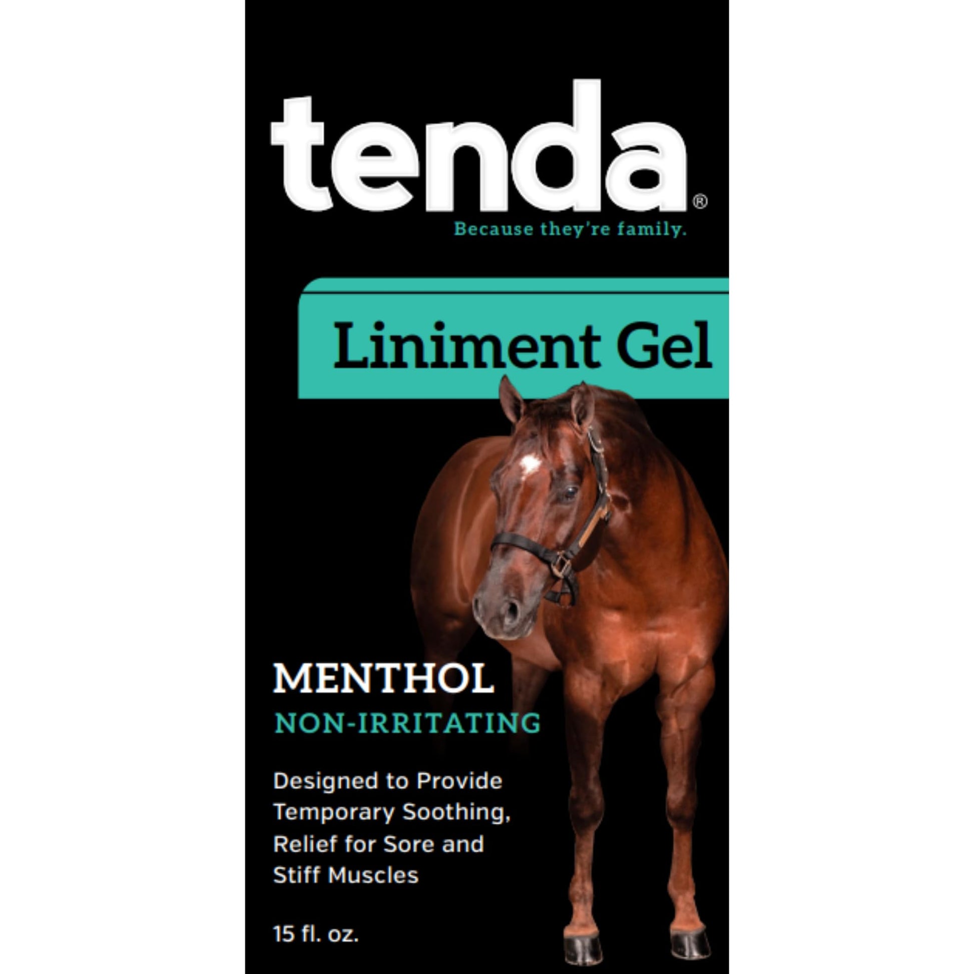 Tenda Liniment Gel - Designed to Provide Temporary Soothing, Relief for Sore and Stiff Muscles - dailyvitalstore