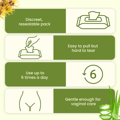 Tender Touch Hemorrhoid Wipes with Witch Hazel and Aloe, Flushable Medicated Wipes for Hemorrhoid and Vaginal Relief - Postpartum-Safe, Fragrance-free, Travel Size, 1 Pack, 48-ct. - dailyvitalstore