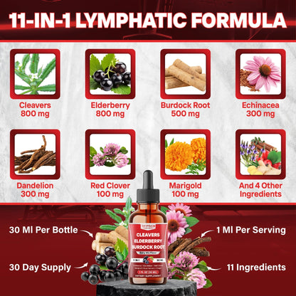 Tenmido 11in1 Lymphatic Drainage Drops with Cleavers, Elderberry, Burdock Root, Echinacea, Dandelion, Red Clover, Marigold, Blue Vervain, Ginger, Licorice, Rosehip - 30 Days Supply - 1FL Oz - dailyvitalstore