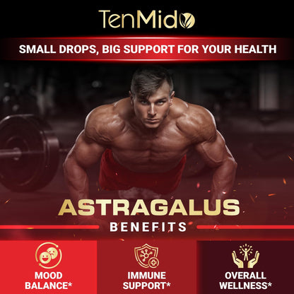 Tenmido 6-in-1 Astragalus Root Tincture - Herbal Extract Supplements with Quercetin, Rhodiola Rosea, Vitamin D3, Vitamin C, and Zinc - Vegan, Non-GMO - 30ml 1 Fl Oz - dailyvitalstore