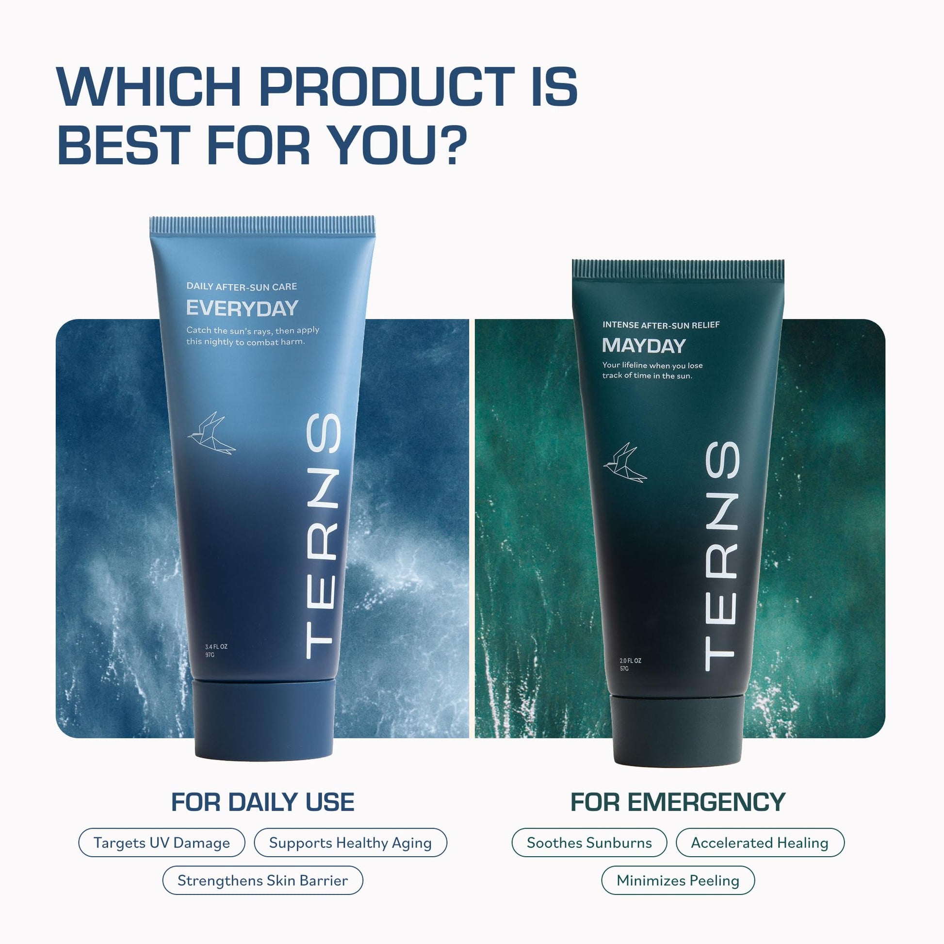 TERNS Everyday Advanced Moisturizer for Face & Body, Daily Skin Care Lotion for Men & Women, Marine Bioactive Skin Cream, Supports Firmness & Hydration, Travel Friendly, Natural Fragrance, 3.4 Oz - dailyvitalstore