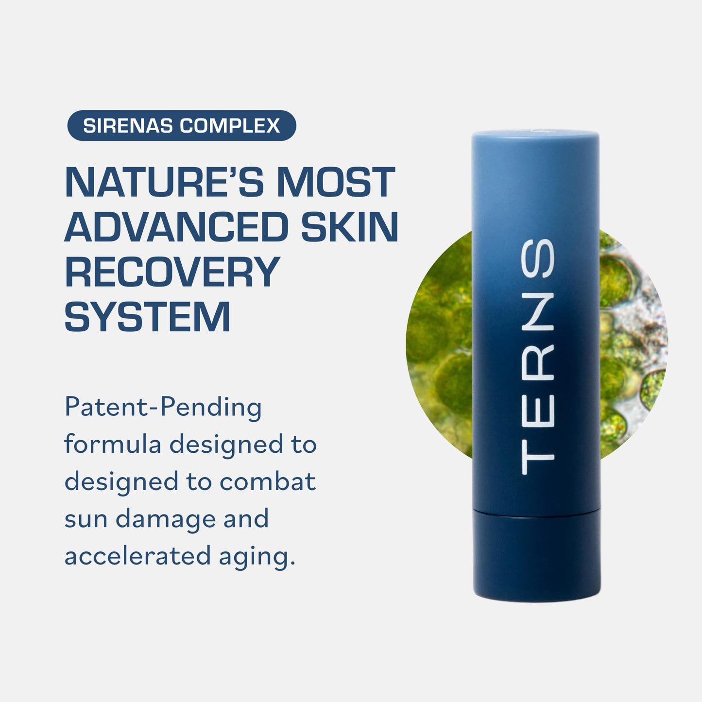 TERNS Everyday Lip Balm | Hyaluronic Acid + Baobab & Meadowfoam Oils, Algae-Powered Sirenas Complex OS, Refreshing Mint, Non-Sticky Cushion Glide, Cruelty-Free - dailyvitalstore