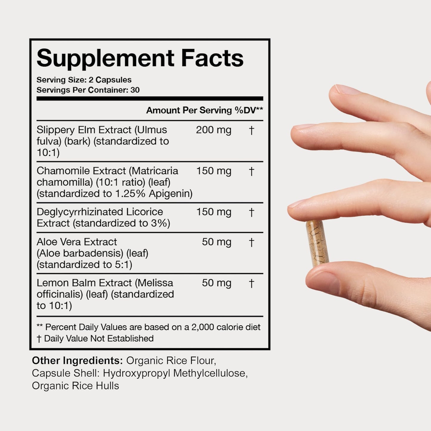 Terra Health Essentials Acid Relief - Plant Based Digestive Support Supplement for Comfortable Gut Function - Lemon Balm, Slippery Elm, Aloe Vera, DGL Licorice - 60 Capsules - dailyvitalstore