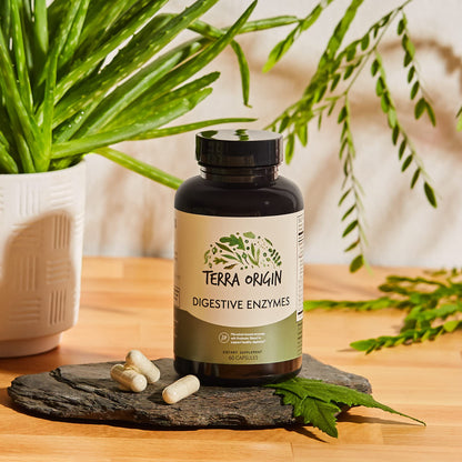 TERRA ORIGIN Digestive Enzymes with Probiotics & Prebiotics | 60 Capsules | Supports Digestive Gut Health | Non GMO, Gluten Free, - dailyvitalstore