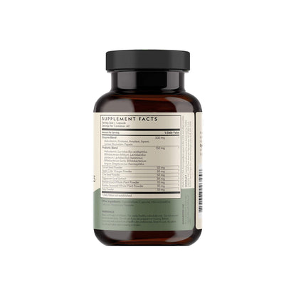 TERRA ORIGIN Digestive Enzymes with Probiotics & Prebiotics | 60 Capsules | Supports Digestive Gut Health | Non GMO, Gluten Free, - dailyvitalstore