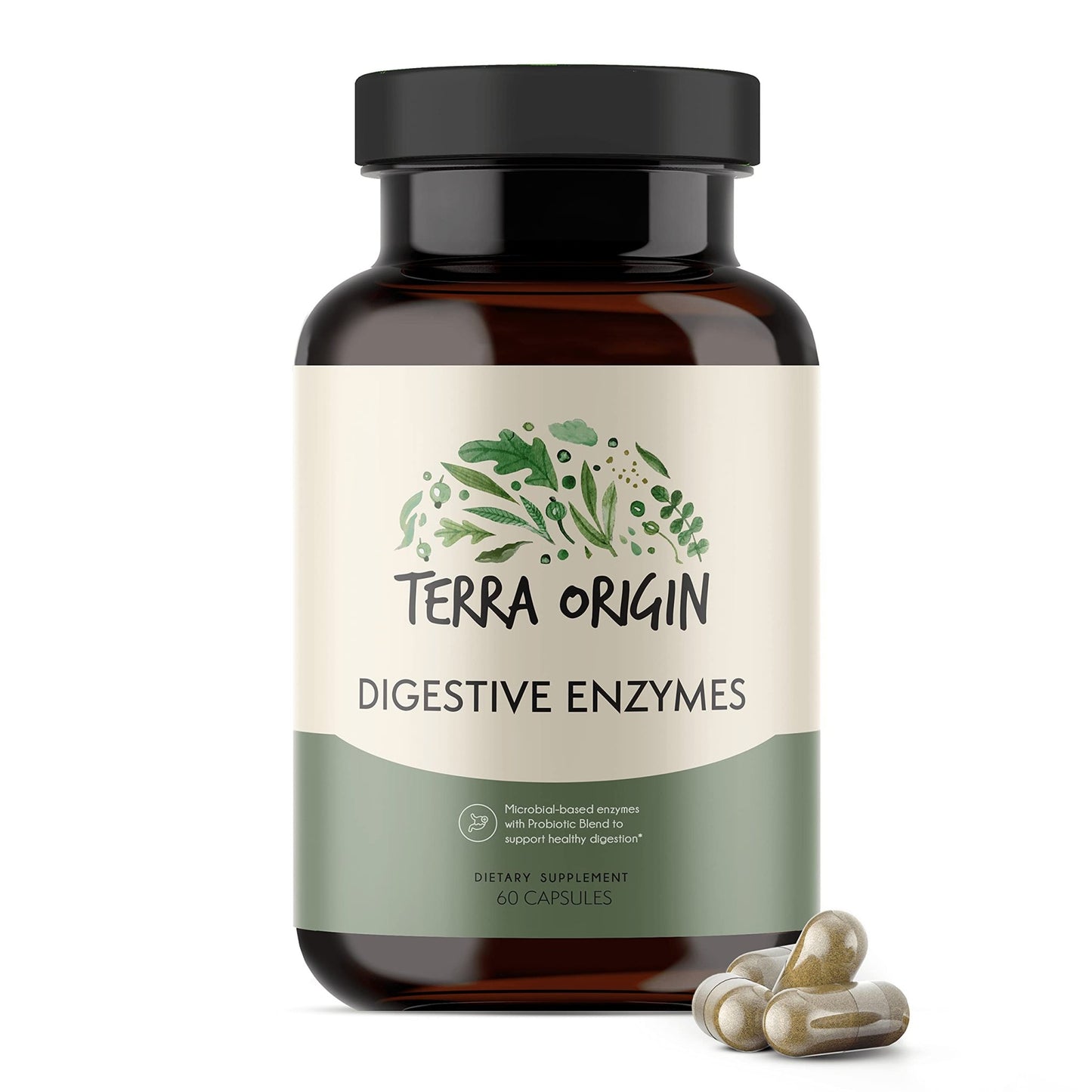 TERRA ORIGIN Digestive Enzymes with Probiotics & Prebiotics | 60 Capsules | Supports Digestive Gut Health | Non GMO, Gluten Free, - dailyvitalstore