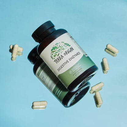 TERRA ORIGIN Digestive Enzymes with Probiotics & Prebiotics | 60 Capsules | Supports Digestive Gut Health | Non GMO, Gluten Free, - dailyvitalstore