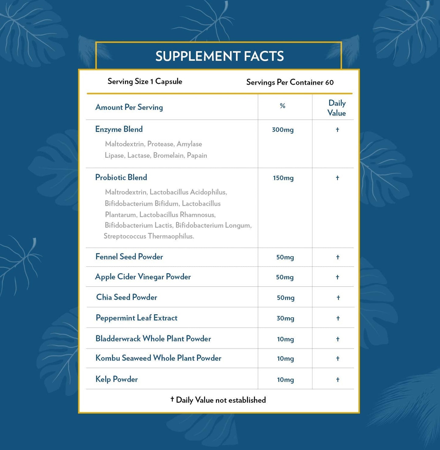 TERRA ORIGIN Digestive Enzymes with Probiotics & Prebiotics | 60 Capsules | Supports Digestive Gut Health | Non GMO, Gluten Free, - dailyvitalstore
