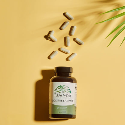 TERRA ORIGIN Digestive Enzymes with Probiotics & Prebiotics | 60 Capsules | Supports Digestive Gut Health | Non GMO, Gluten Free, - dailyvitalstore