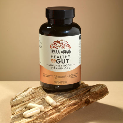 TERRA ORIGIN Healthy Gut Capsules with Immunity Boost | 90 Capsules | Non GMO, Gluten Free, Dairy Free | Digestive Support for Men and Women - dailyvitalstore