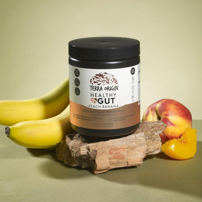 TERRA ORIGIN Healthy Gut Peach Banana | 30-Servings with L-Glutamine, Zinc, Glucosamine, Slippery Elm Bark, Marshmallow Root and More! - dailyvitalstore
