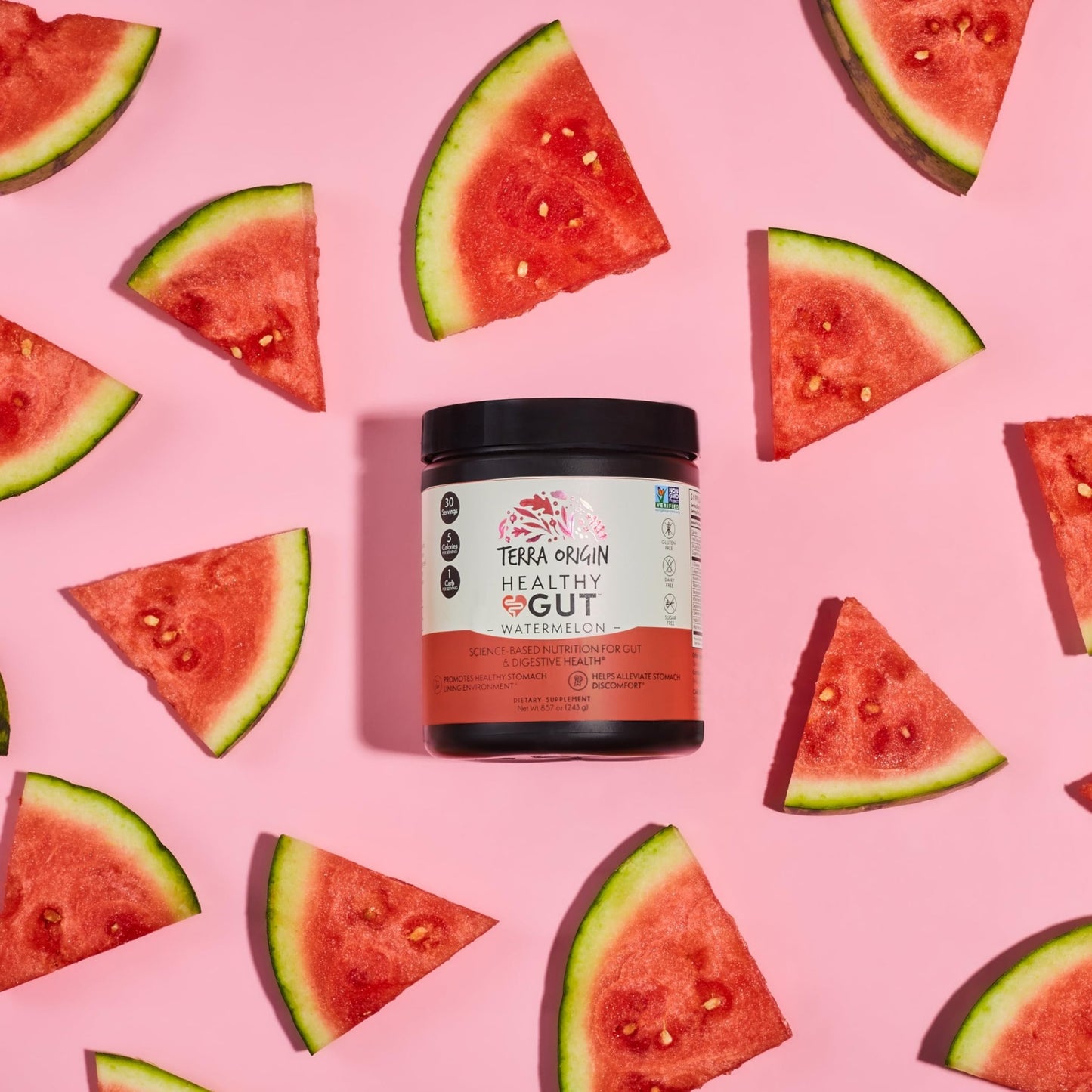 TERRA ORIGIN Healthy Gut Watermelon | 30-Servings with L-Glutamine, Zinc, Glucosamine, Slippery Elm Bark, Marshmallow Root and More! - dailyvitalstore