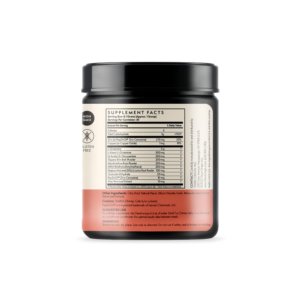 TERRA ORIGIN Healthy Gut Watermelon | 30-Servings with L-Glutamine, Zinc, Glucosamine, Slippery Elm Bark, Marshmallow Root and More! - dailyvitalstore