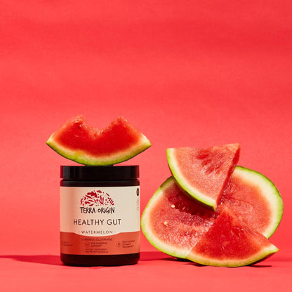 TERRA ORIGIN Healthy Gut Watermelon | 30-Servings with L-Glutamine, Zinc, Glucosamine, Slippery Elm Bark, Marshmallow Root and More! - dailyvitalstore