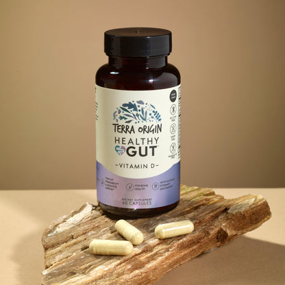 TERRA ORIGIN Healthy Gut with Vitamin D 5000 IU | 60 Capsules | Gut Health Supplements for Men and Women | Supports Digestion and Gas - dailyvitalstore