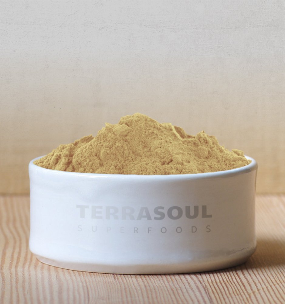Terrasoul Superfoods Organic Amla Berry Powder (Amalaki), 16 Oz - Rich in Antioxidant Vitamin C | Supports Immunity - dailyvitalstore