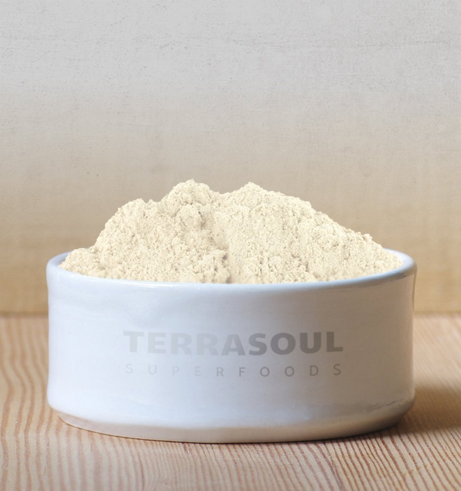 Terrasoul Superfoods Organic Psyllium Husk Powder, 1 Lb - Superfine Texture | 99% Purity | Perfect for Gluten-Free Baking | No Purple Breads - dailyvitalstore
