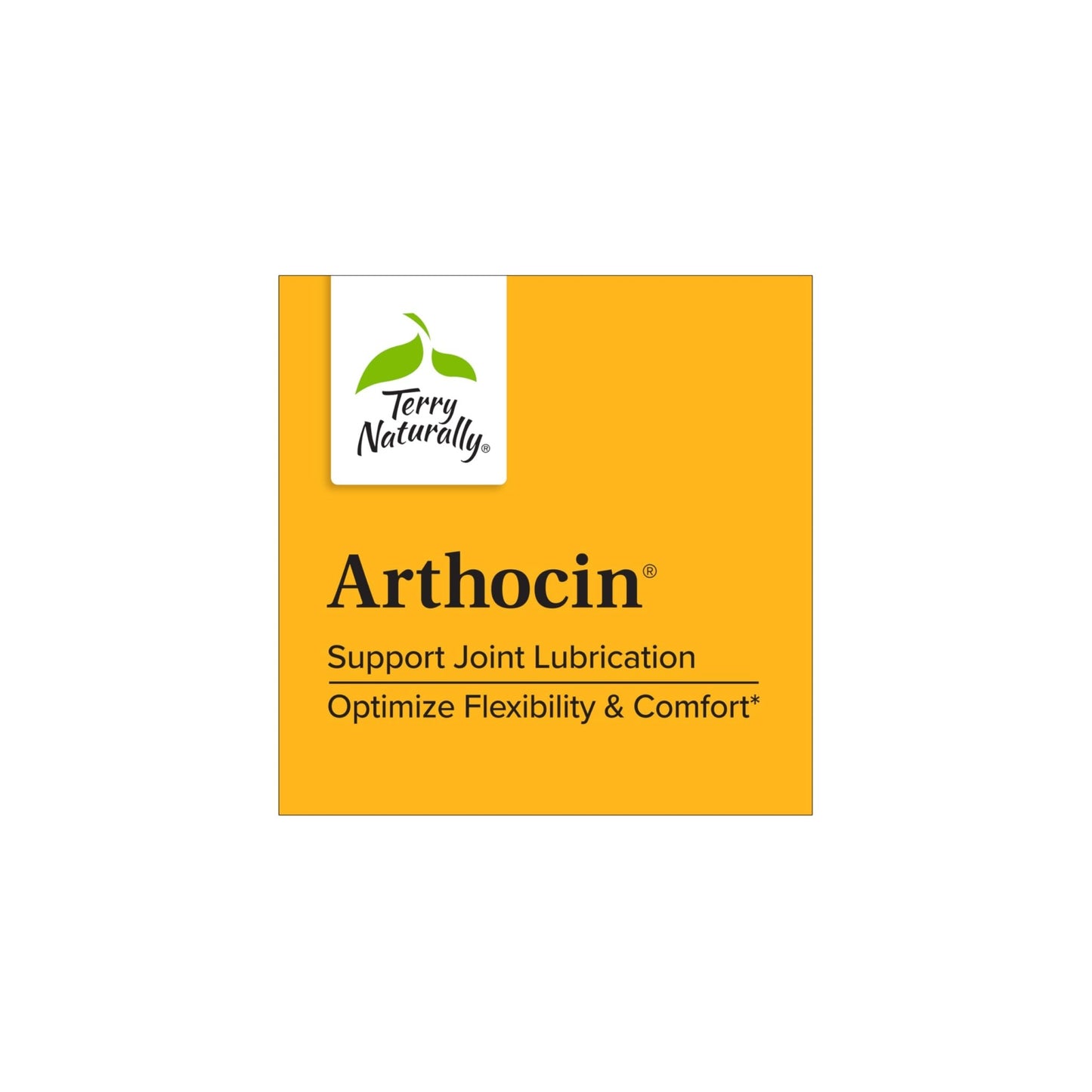 Terry Naturally Arthocin - Boswellia Serrata Capsules with Devil's Claw & Curcumin - Supplement to Support Joint & Spine Health - Herbal Supplement Aids Comfort & Absorption - 60 Capsules - dailyvitalstore