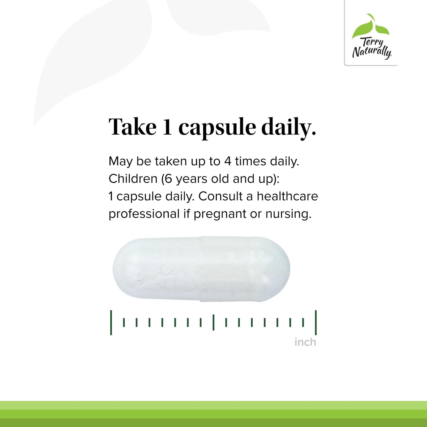 Terry Naturally BioActive Magnesium Complex - Bone & Heart Health Support - Supplement with Vitamin B6, Zinc & Magnesium - Pyridoxal-5-Phosphate Vegan Capsule Supplement - 120 Capsules - dailyvitalstore