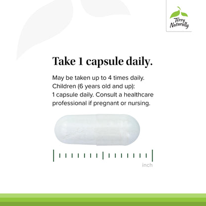 Terry Naturally BioActive Magnesium Complex - Bone & Heart Health Support - Supplement with Vitamin B6, Zinc & Magnesium - Pyridoxal-5-Phosphate Vegan Capsule Supplement - 120 Capsules - dailyvitalstore