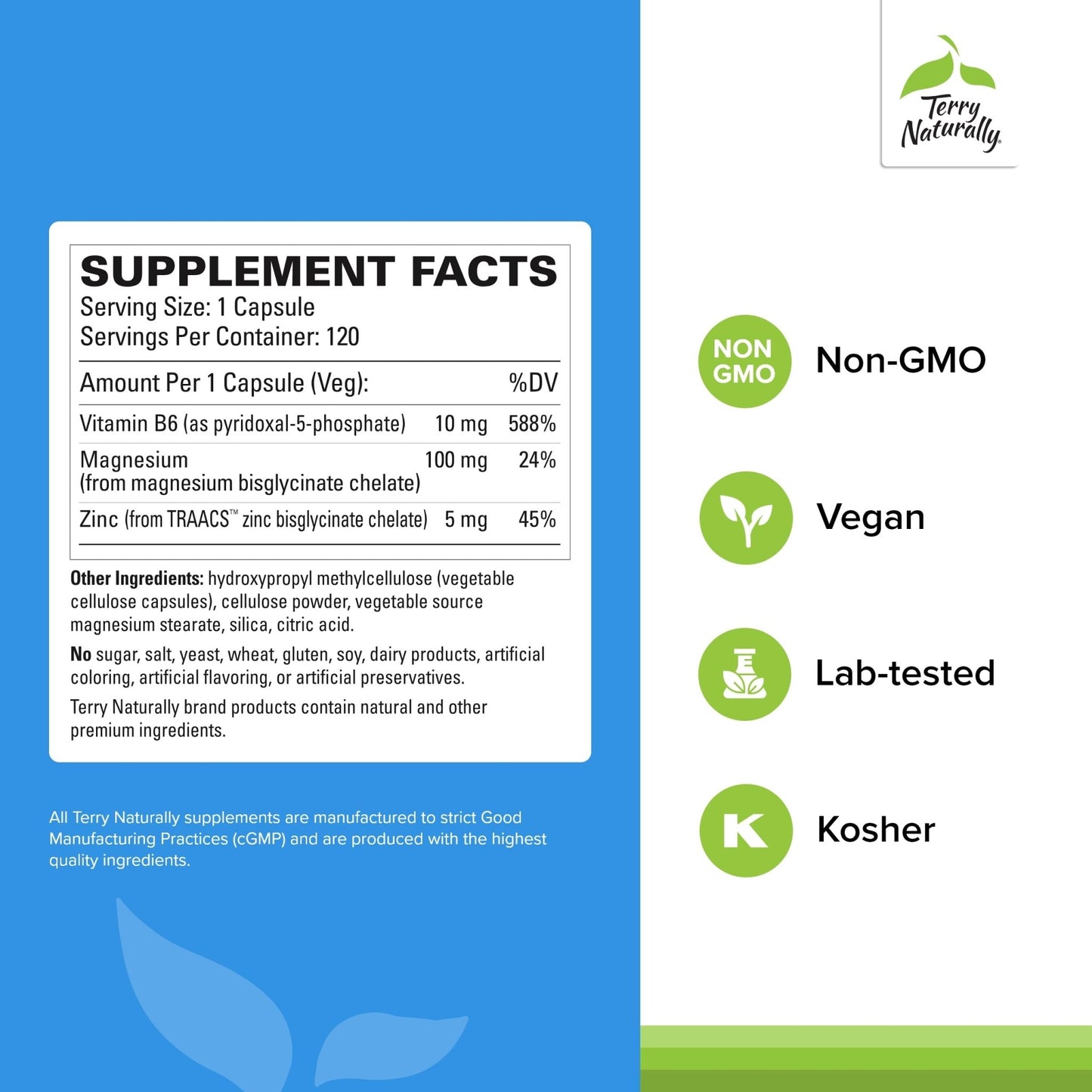 Terry Naturally BioActive Magnesium Complex - Bone & Heart Health Support - Supplement with Vitamin B6, Zinc & Magnesium - Pyridoxal-5-Phosphate Vegan Capsule Supplement - 120 Capsules - dailyvitalstore