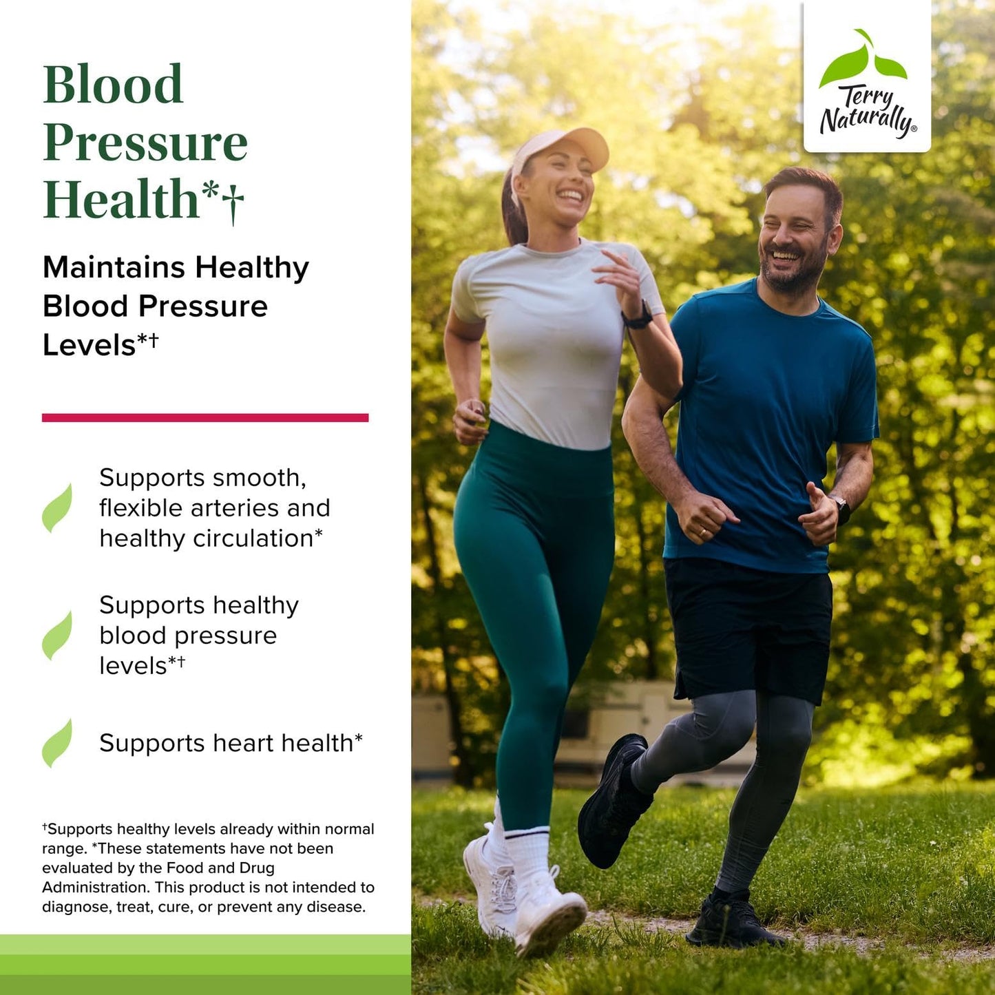 Terry Naturally Blood Pressure Health - Healthy Blood Flow & Circulation Support Supplement - Heart Health Supplement with Antioxidants - Cardiovascular Support - 60 Capsules - dailyvitalstore