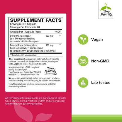 Terry Naturally Blood Pressure Health - Healthy Blood Flow & Circulation Support Supplement - Heart Health Supplement with Antioxidants - Cardiovascular Support - 60 Capsules - dailyvitalstore