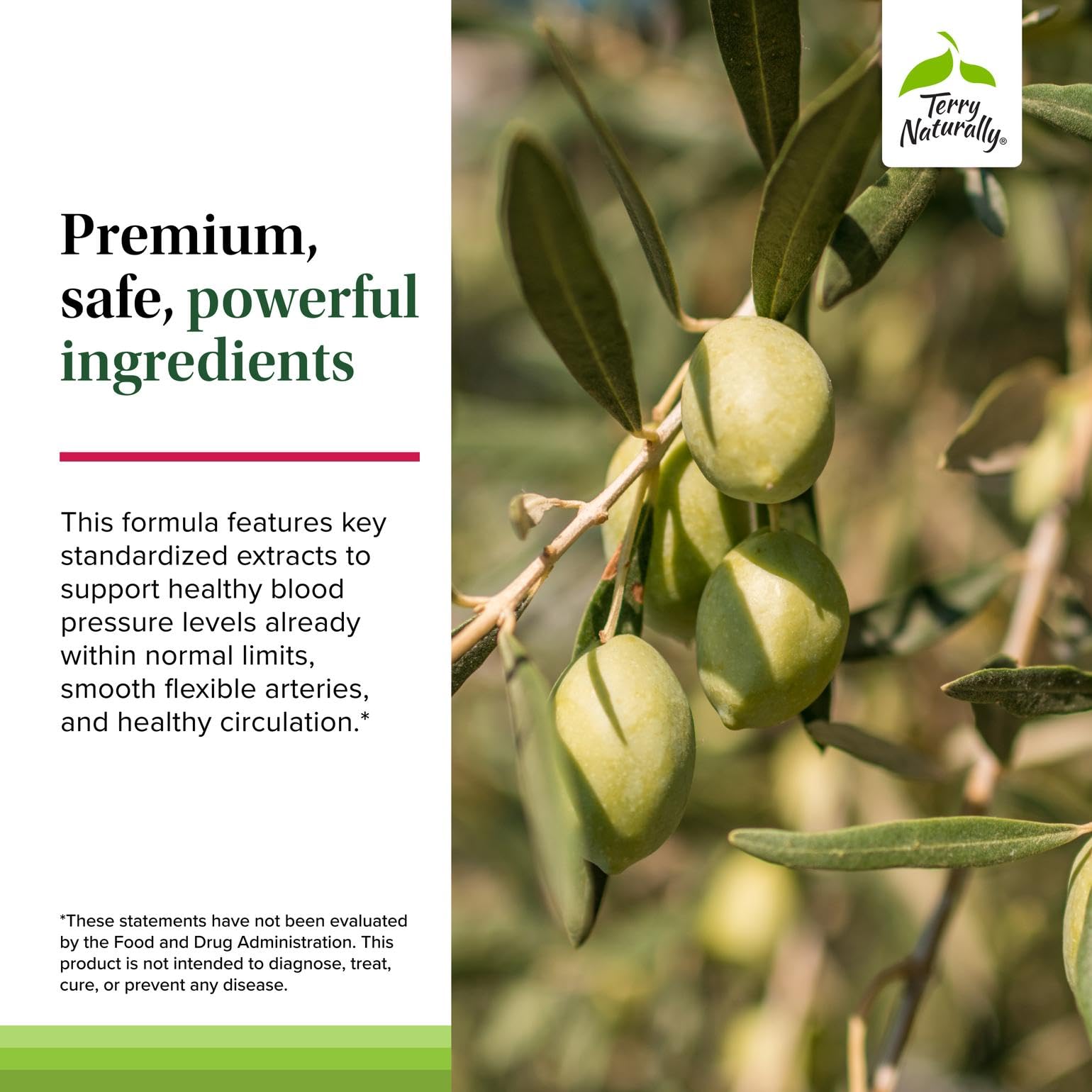 Terry Naturally Blood Pressure Health - Healthy Blood Flow & Circulation Support Supplement - Heart Health Supplement with Antioxidants - Cardiovascular Support - 60 Capsules - dailyvitalstore