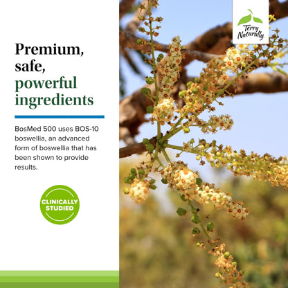 Terry Naturally BosMed 500 Extra Strength - Boswellia Serrata Extract Supplement - Supplement for Healthy Lung Support - Herbal Supplement Formula with High Levels of AKBA - 120 Softgels - dailyvitalstore