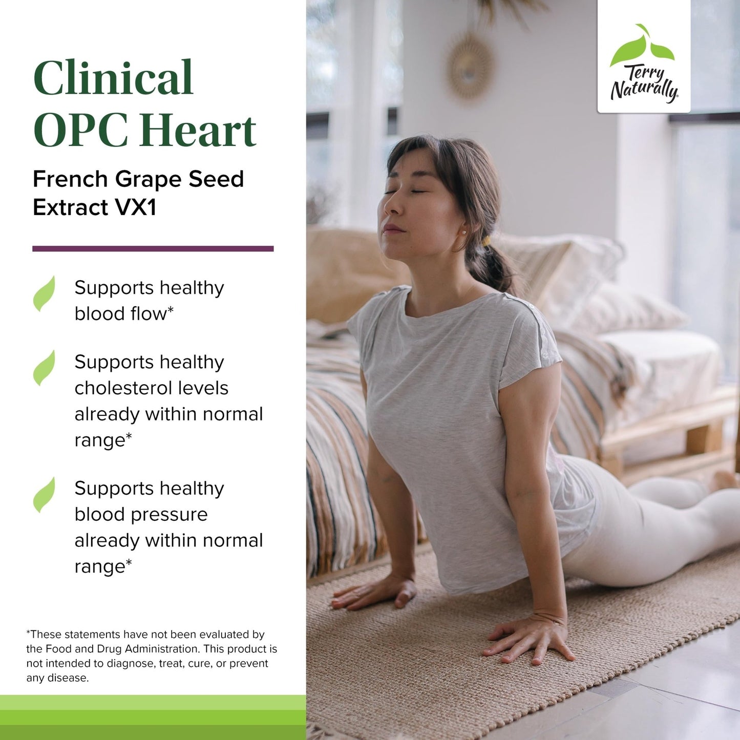 Terry Naturally Clinical OPC Heart - Heart Health Supplement with Magnesium, Vitamin B6, Grape Seed Extract - Dietary Supplement for Artery Health & Circulation - 60 Capsules - dailyvitalstore