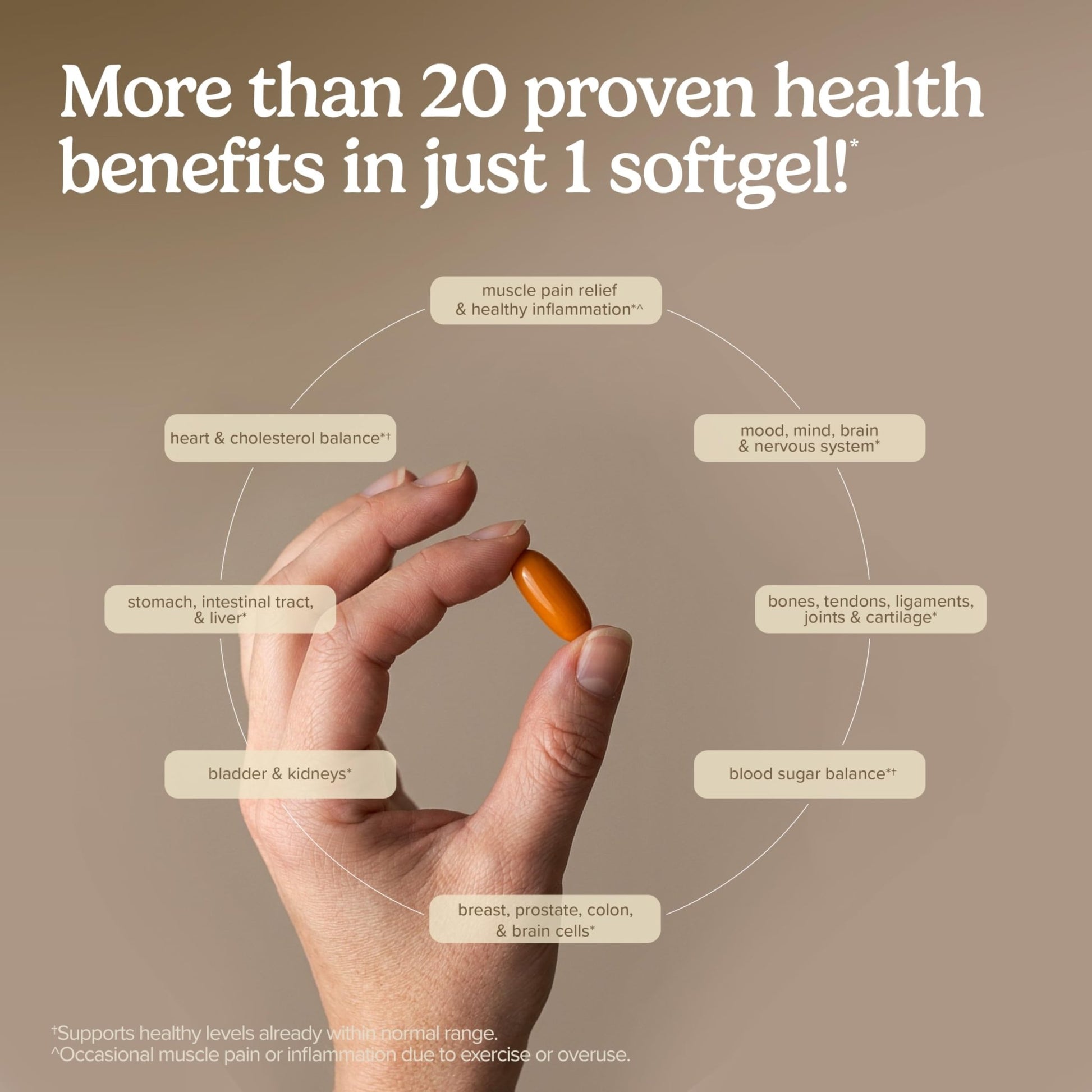 Terry Naturally CuraMed 750mg - Antioxidant Supplement for Brain & Heart Health Support - Dietary Supplement with High-Potency Curcumin Complex - Kidney, Liver & Immune Health Support - 30 Softgels - dailyvitalstore