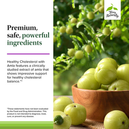 Terry Naturally Healthy Cholesterol with Amla - Antioxidant Supplement for Immune & Heart Support - Supplement to Aid Healthy Cholesterol & Triglyceride - 60 Capsules - dailyvitalstore