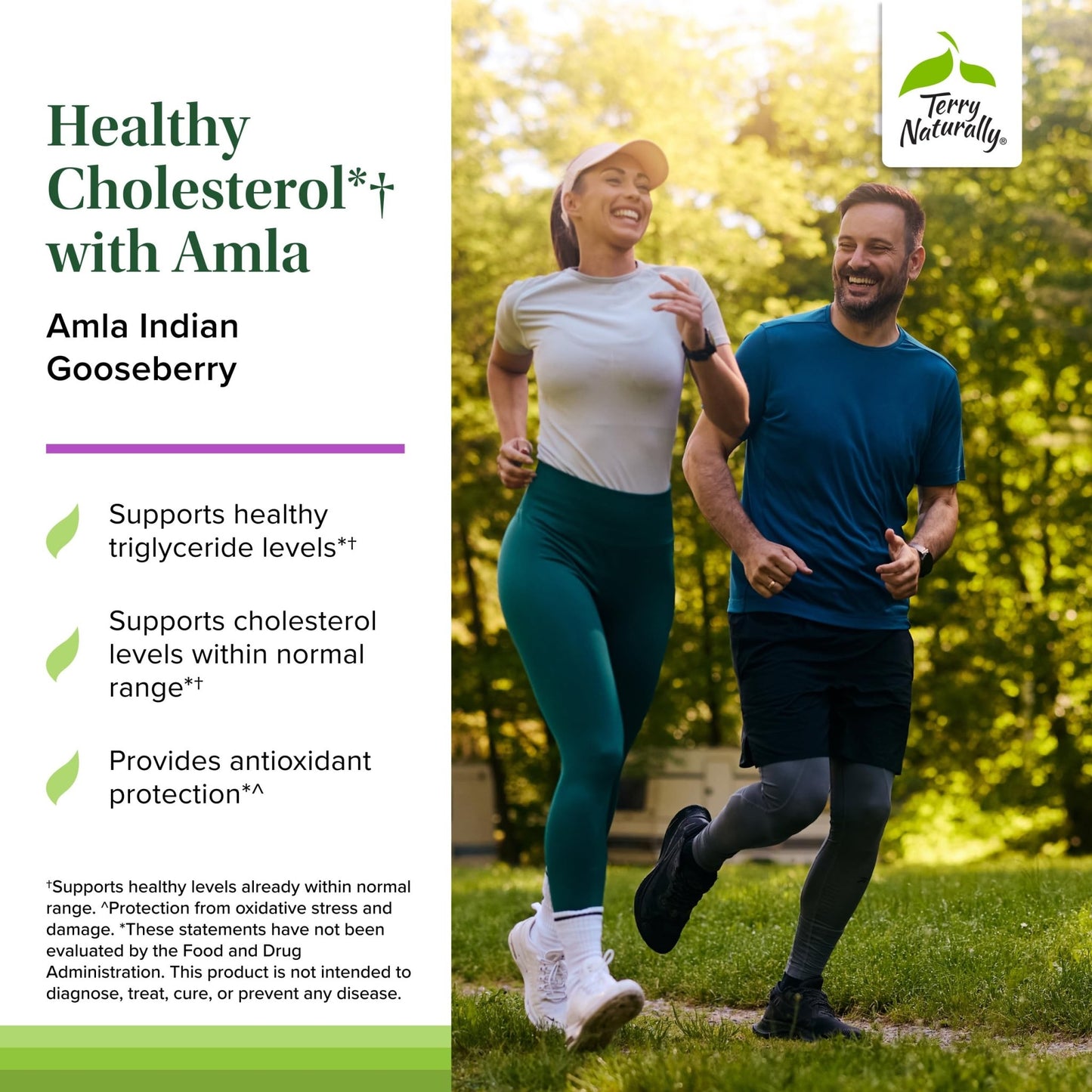Terry Naturally Healthy Cholesterol with Amla - Antioxidant Supplement for Immune & Heart Support - Supplement to Aid Healthy Cholesterol & Triglyceride - 60 Capsules - dailyvitalstore
